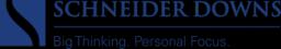 Schneider Downs logo